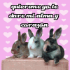 Cargando...