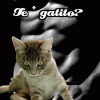 Cargando...