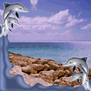 Mar de delfines
