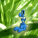 Conejito