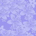 flores azules