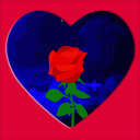 rosa noche