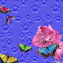 Maripositas
