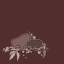 Toro y Oso
