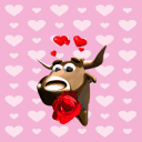 Torito enamorado